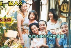 偷家族族在线观看,在线揭秘家族秘密的惊悚之旅