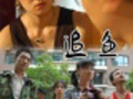 追鱼在线观看,穿越时空的奇幻爱情之旅